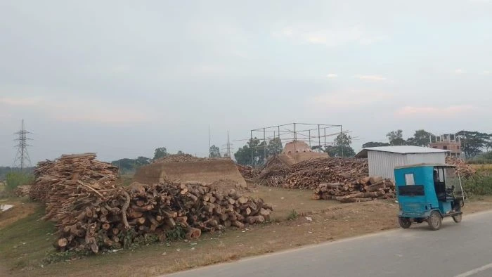 ছাতকে কাঠ পুড়িয়ে চুন তৈরি, বিষাক্ত ধোঁয়ায় হুমকিতে জনস্বাস্থ্য