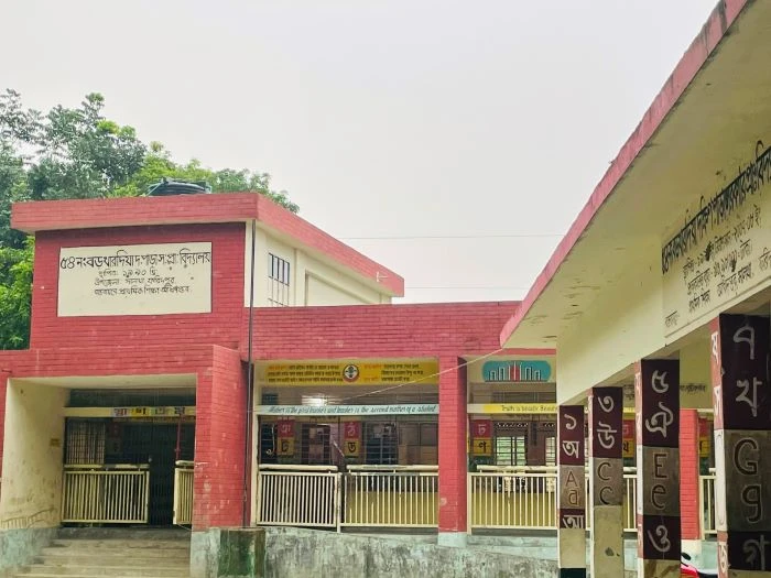 সালথায় সীমানা প্রাচীরহীন বিদ্যালয়ে ঝুঁকিতে ১৩৪ শিক্ষার্থী, আতঙ্কে অভিভাবক