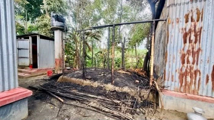 ফরিদপুরের চরভদ্রাসনে আগুনে পুড়ল ৭টি ছাগল