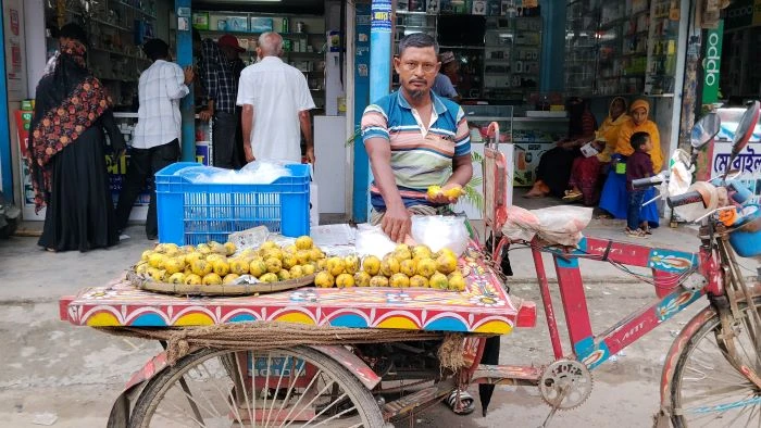 অপরিকল্পিত নগরায়ন, গাছ কাটা এবং গ্রামীণ পরিবেশ নষ্ট হওয়ার কারণে কাউ ফল হারিয়ে যাচ্ছে