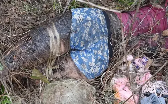 পুলিশ ভেবেছিলো খুন করা হয়েছে, তদন্তে জানা গেলো সে.ক্স ডল