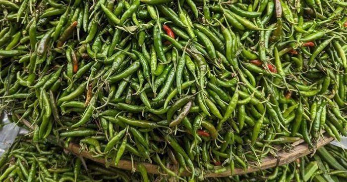 কাঁচামরিচ আমদানির অনুমতি, কমতে পারে দাম
