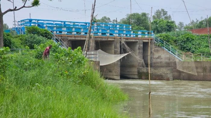 টাঙ্গাইল শহরের মরণ ফাঁদ যুগনির স্লুইস গেট
