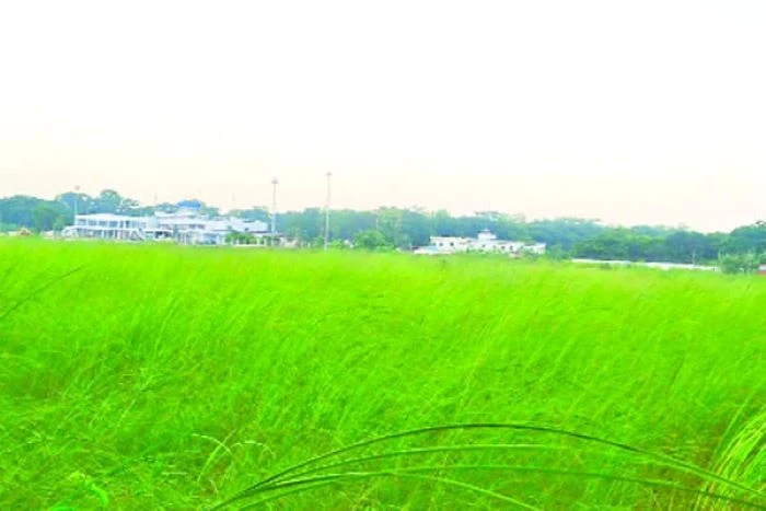 বরিশাল বিমানবন্দরে ঘাস কাটার নামে অর্থ আদায়ের অভিযোগ