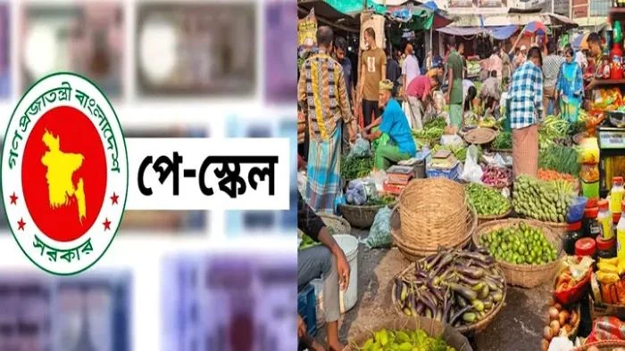 পে-স্কেল বাস্তবায়নে বাজারে কী ধরনের প্রভাব পড়তে পারে?