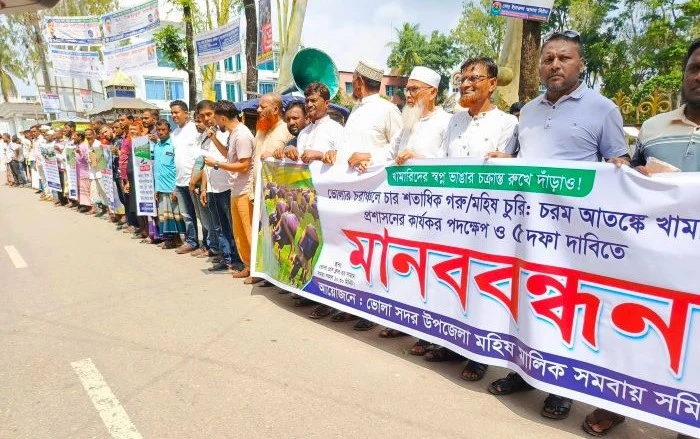 ভোলায় চার শতাধিক মহিষ চুরির প্রতিবাদে ৫ দফা দাবিতে মানববন্ধন