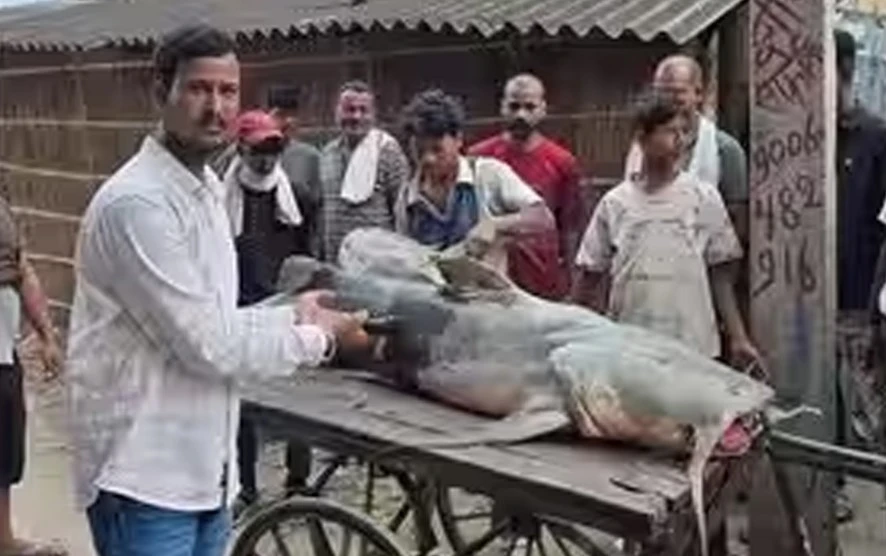 নেপাল থেকে বন্যার পানিতে আসা অচেনা মাছ খাওয়া ও বিক্রিতে সতর্কতা