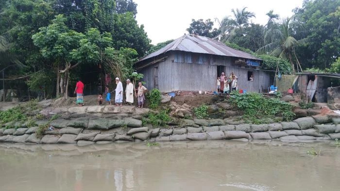 চাঁদপুরে হঠাৎ ডাকাতিয়ার ভাঙনে আতঙ্কে রঘুনাথপুরের অর্ধশত পরিবার
