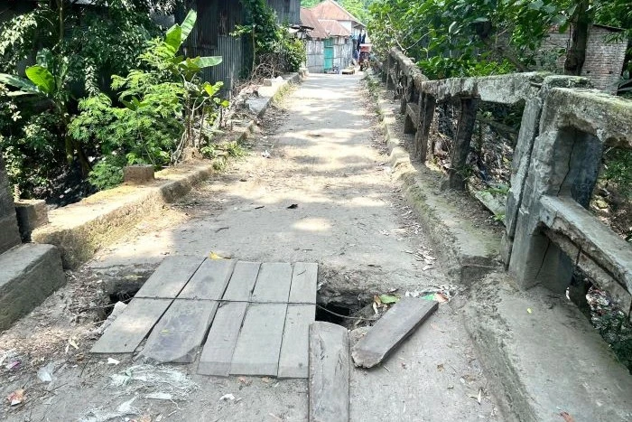 সালথায় ৩ যুগের পুরনো সেতু এখন মরণফাঁদ: চরম ঝুঁকিতে হাজারো মানুষ
