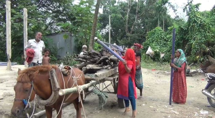ফরিদপুরে পদ্মা-মধুমতির ভয়াল থাবা, ৫ উপজেলায় তীব্র নদীভাঙন
