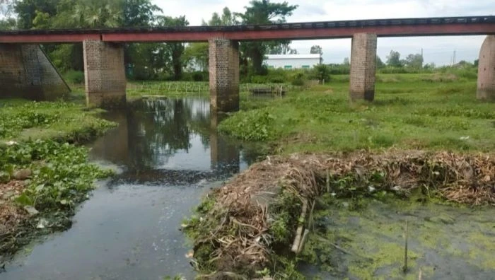 আদমদীঘিতে বর্জ্য পরিশোধনাগার ছাড়াই চলছে চালকল, দূষিত হচ্ছে খাল-ফসলি জমি
