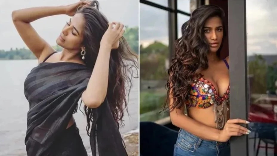 নিজের খোলামেলা ভিডিওকে ‘সামাজিক সেবা’ বললেন পুনম পান্ডে