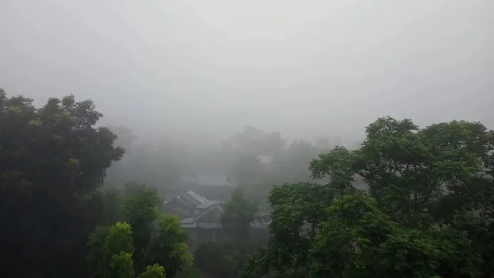 ভোরের কুয়াশায় ঢেকে গেছে নীলফামারী, কমছে তাপমাত্রা