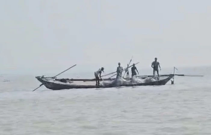 সরকারি সহায়তা পেয়েও থামছে না জেলেদের ইলিশ শিকার