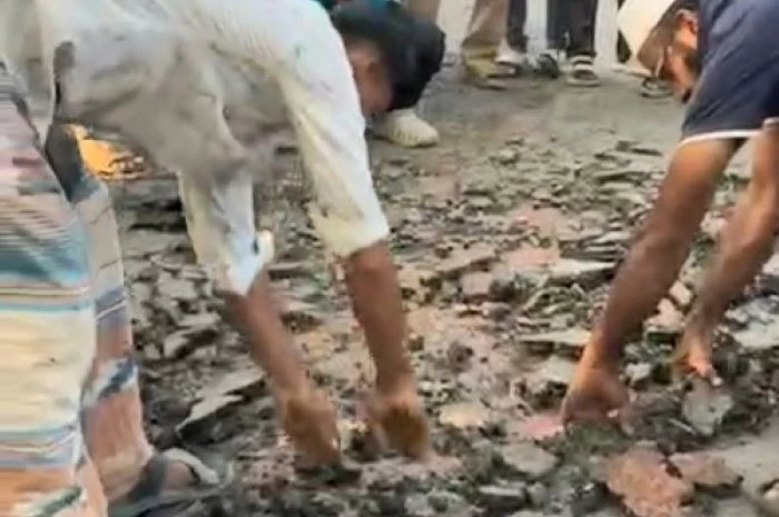 চাঁদপুরে প্রকৌশলী ও ঠিকাদারের গাফিলতিতে এক মাসও টিকেনি কোটি টাকার সড়ক, হাতের টানে উঠে যাচ্ছে বিটুমিন