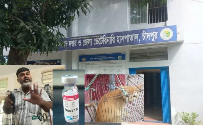 চাঁদপুরে সরকারি পশু হাসপাতালে ভিতরেই ভ্যাকসিন বিক্রির অভিযোগ, ক্ষুব্ধ ভুক্তভোগী পশুপ্রেমী