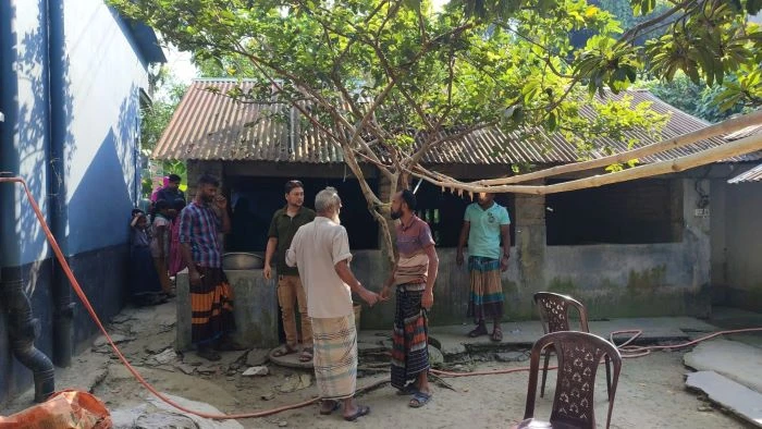 কালীগঞ্জে কৃষকের ৩টি গরু চুরি