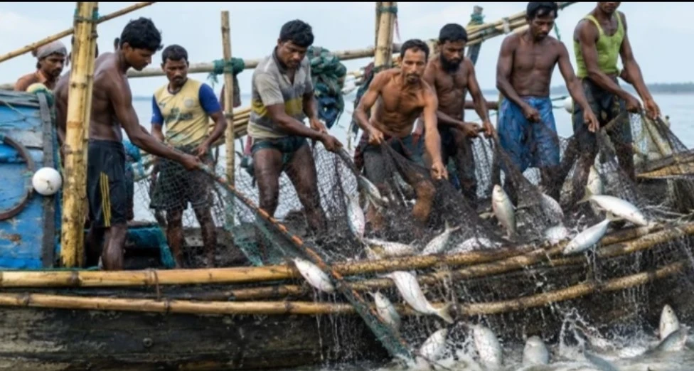 সাড়ে ৬ লাখ জেলে পরিবারকে ‘বড় সুখবর’ দিলো সরকার