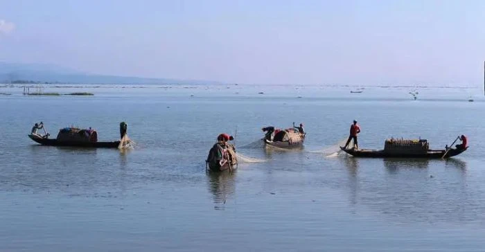 কাপ্তাই হ্রদের ৭৫টি মাছের নমুনাতে মাইক্রোপ্লাস্টিক শনাক্ত!